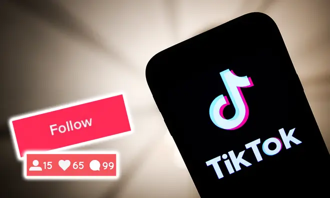 Tips to grow your TikTok followers organically in 2024