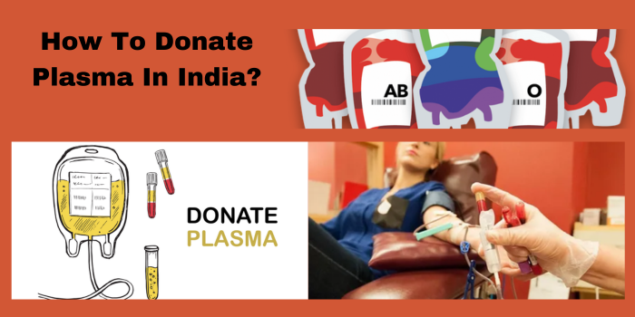 How To Donate Plasma In India?