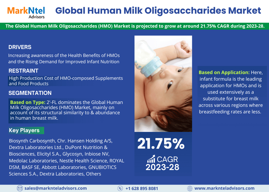 Human Milk Oligosaccharides (HMO) Market