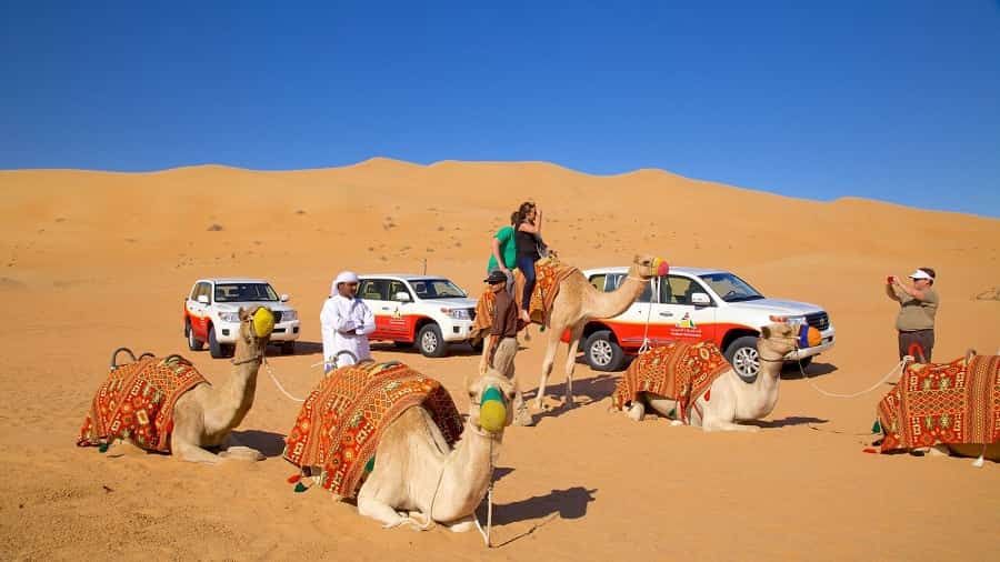 Immerse Yourself in Dubai's Desert: Book Now