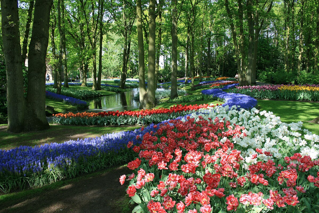 Keukenhof Gardens