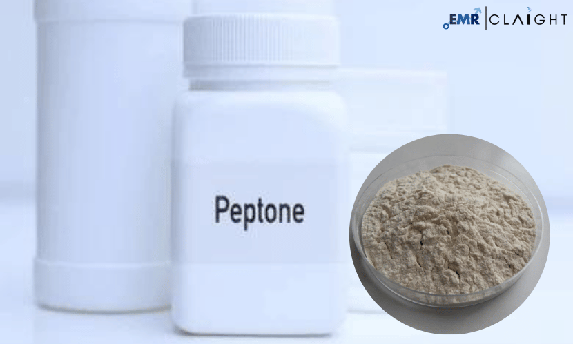 Peptone Market