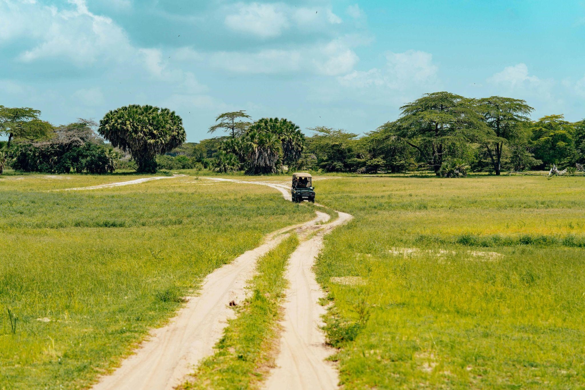 best safari in Africa