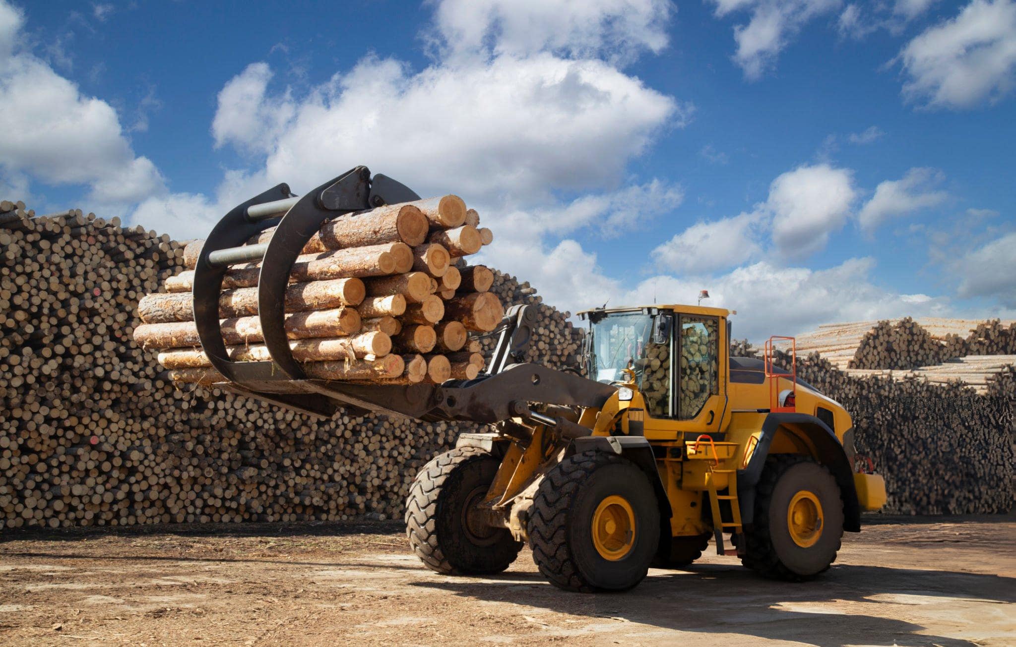 Logs Delivered in Dorset