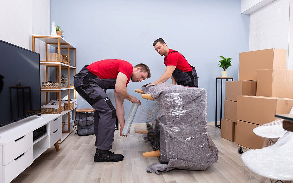 professional movers