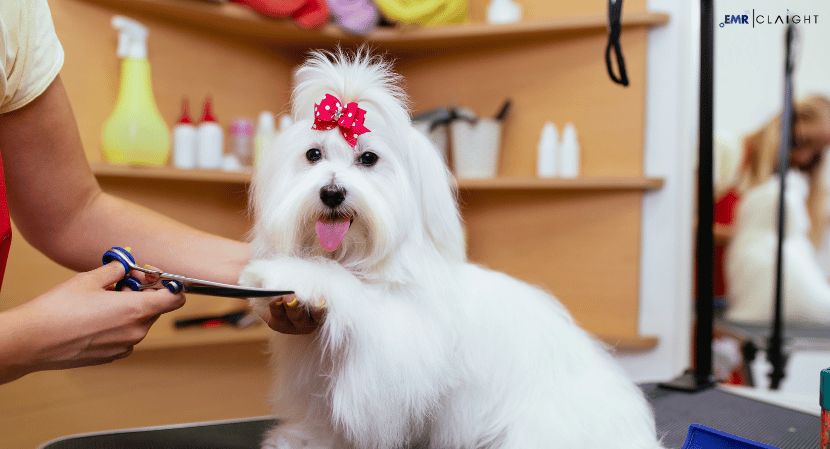 United Kingdom Pet Grooming Market