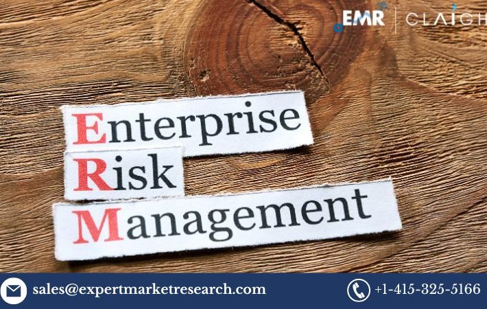 Enterprise Risk Management Market