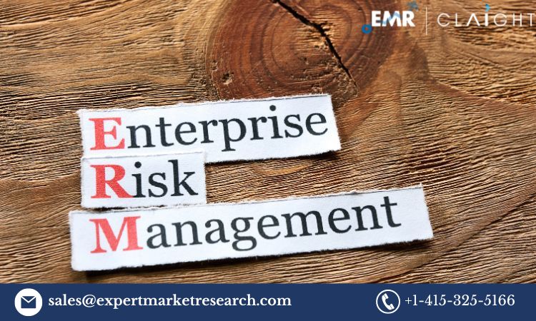 Enterprise Risk Management Market