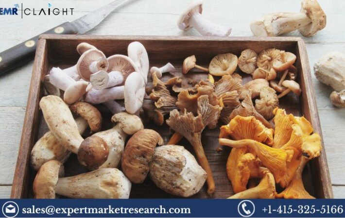 Functional Mushrooms Market