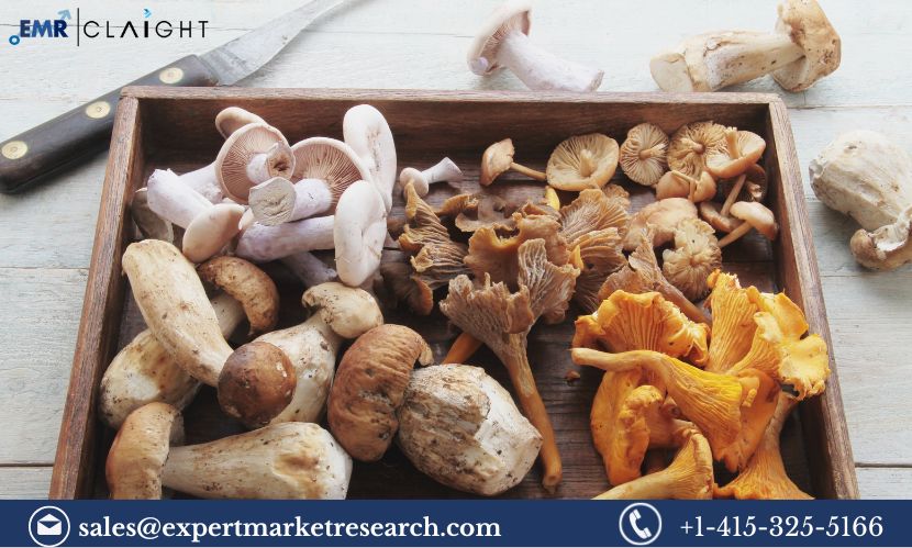 Functional Mushrooms Market