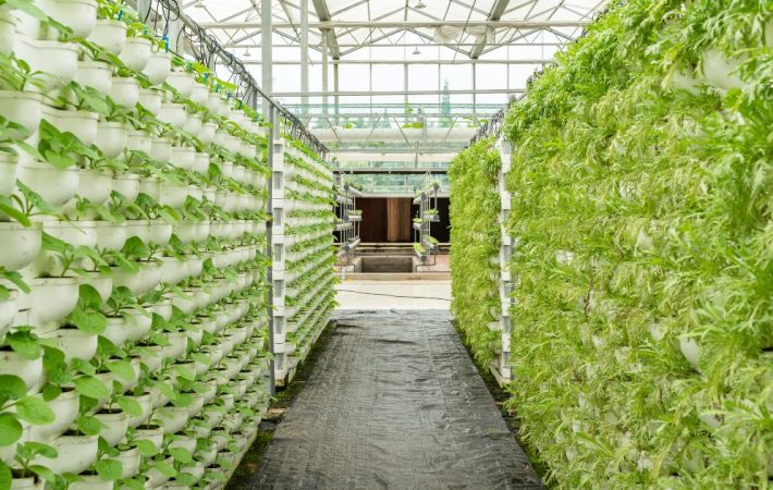 Global Vertical Farming Market