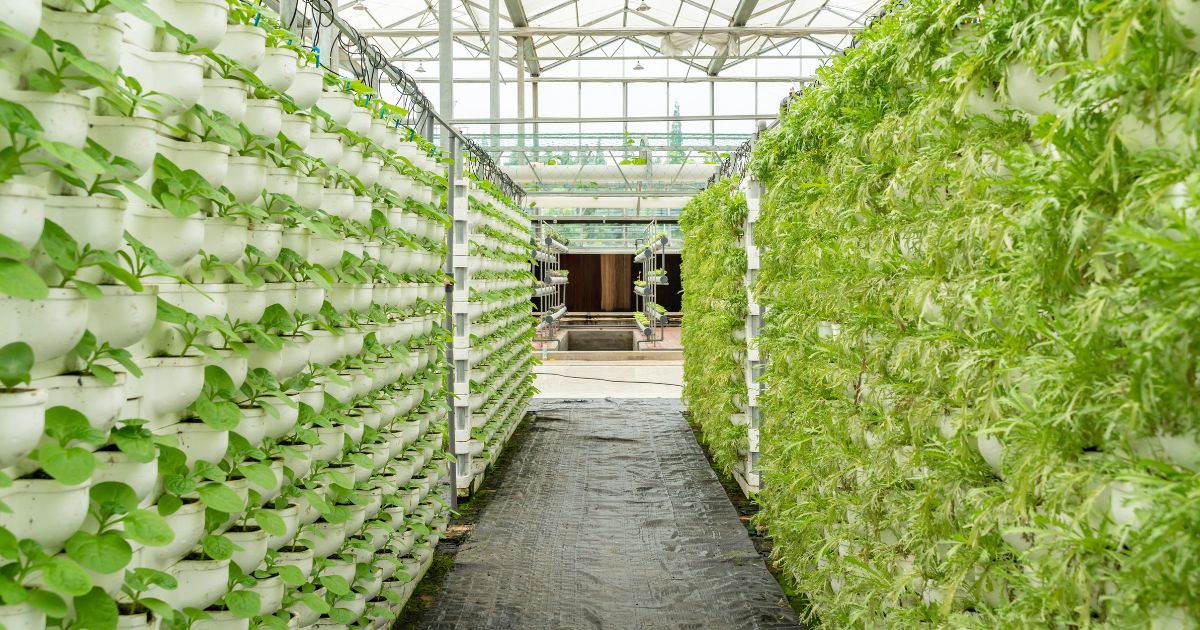 Global Vertical Farming Market